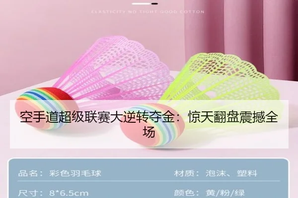 空手道超级联赛大逆转夺金：惊天翻盘震撼全场