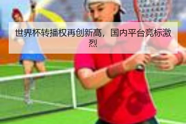 世界杯转播权再创新高，国内平台竞标激烈
