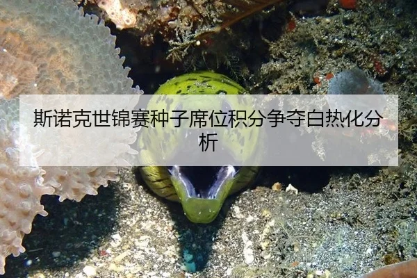 斯诺克世锦赛种子席位积分争夺白热化分析